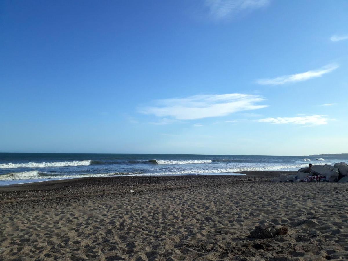 Las Cortaderas Bosque Peralta Ramos Mar del Plata Luaran gambar