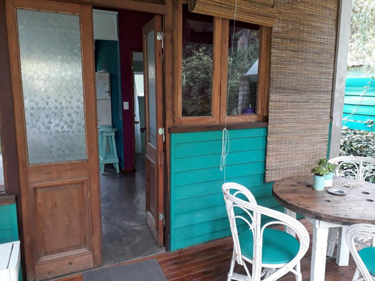 Las Cortaderas Bosque Peralta Ramos Mar del Plata Luaran gambar