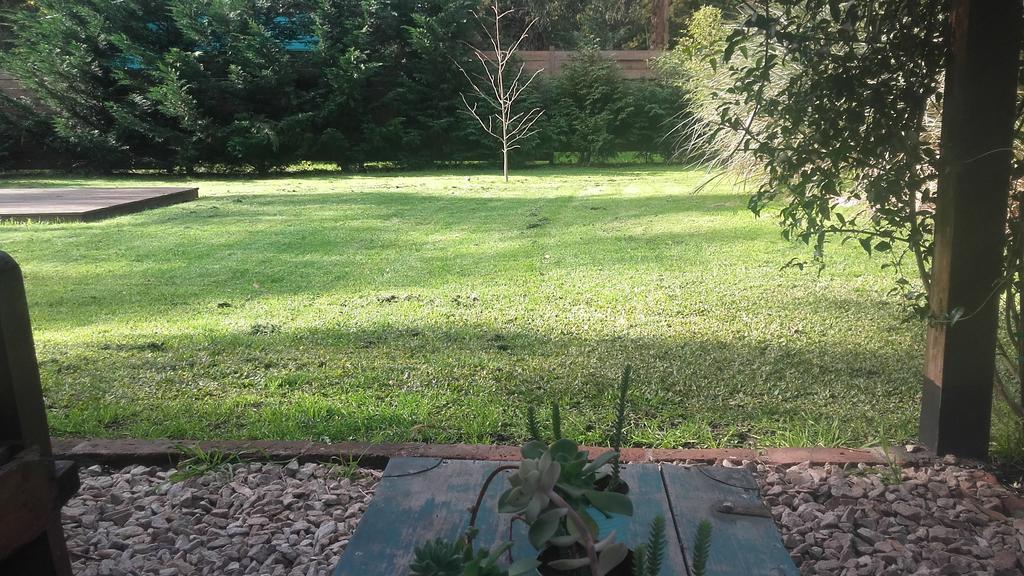 Las Cortaderas Bosque Peralta Ramos Mar del Plata Luaran gambar